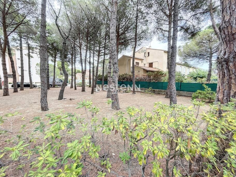2980-Appartement 1 Ch A 100M De La Mer Argeles-sur-Mer Ngoại thất bức ảnh